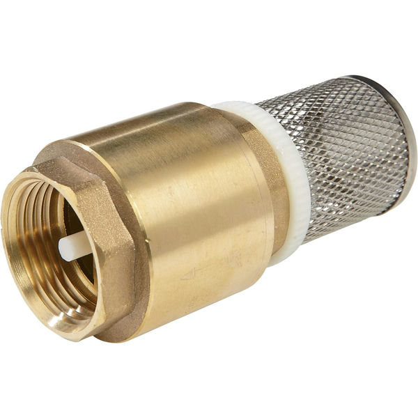 Foot Valve With Suction Strainer G2