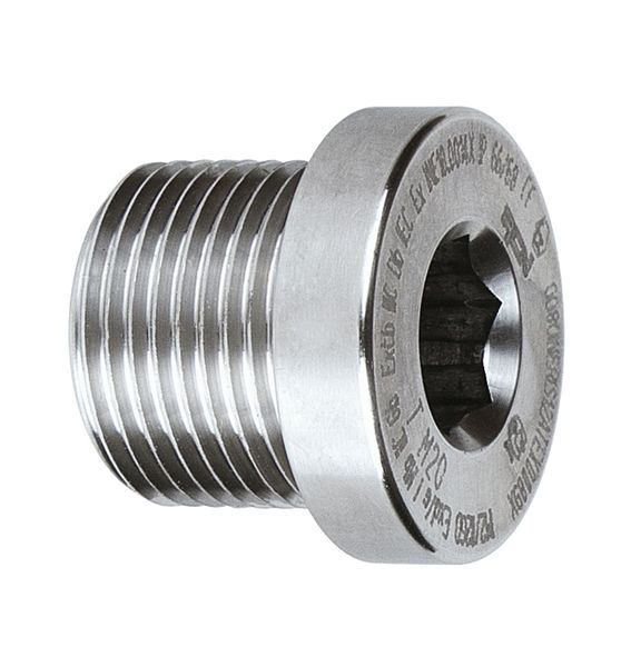 Closing Plug Blind Plug V4A G1